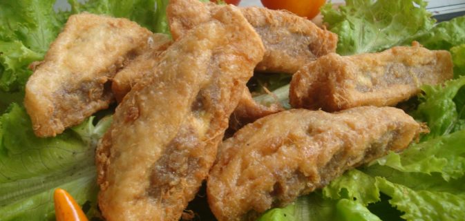 estimasi biaya usaha tahu bakso